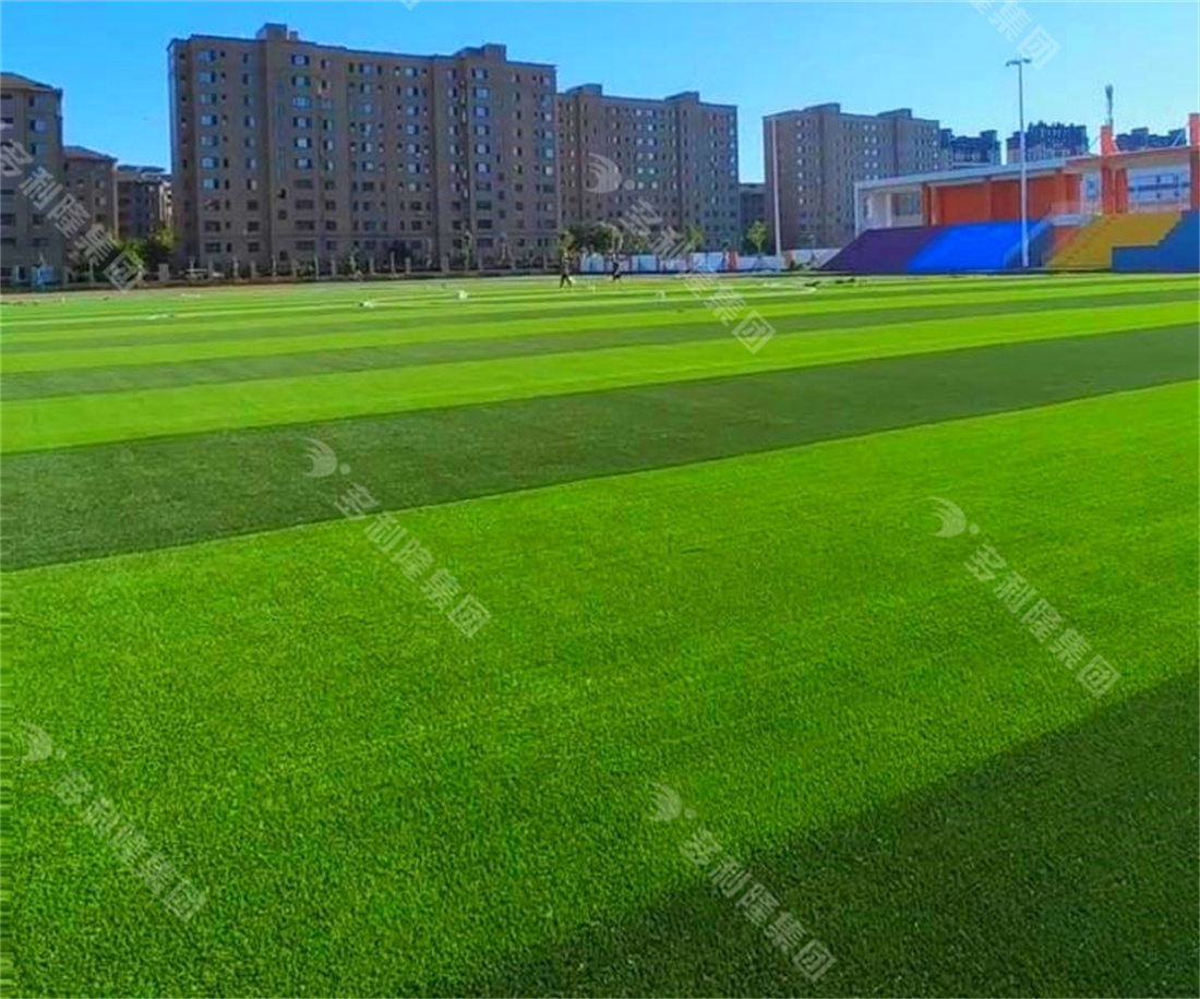 凯发k8免充砂足球草,凯发k8地弹坪